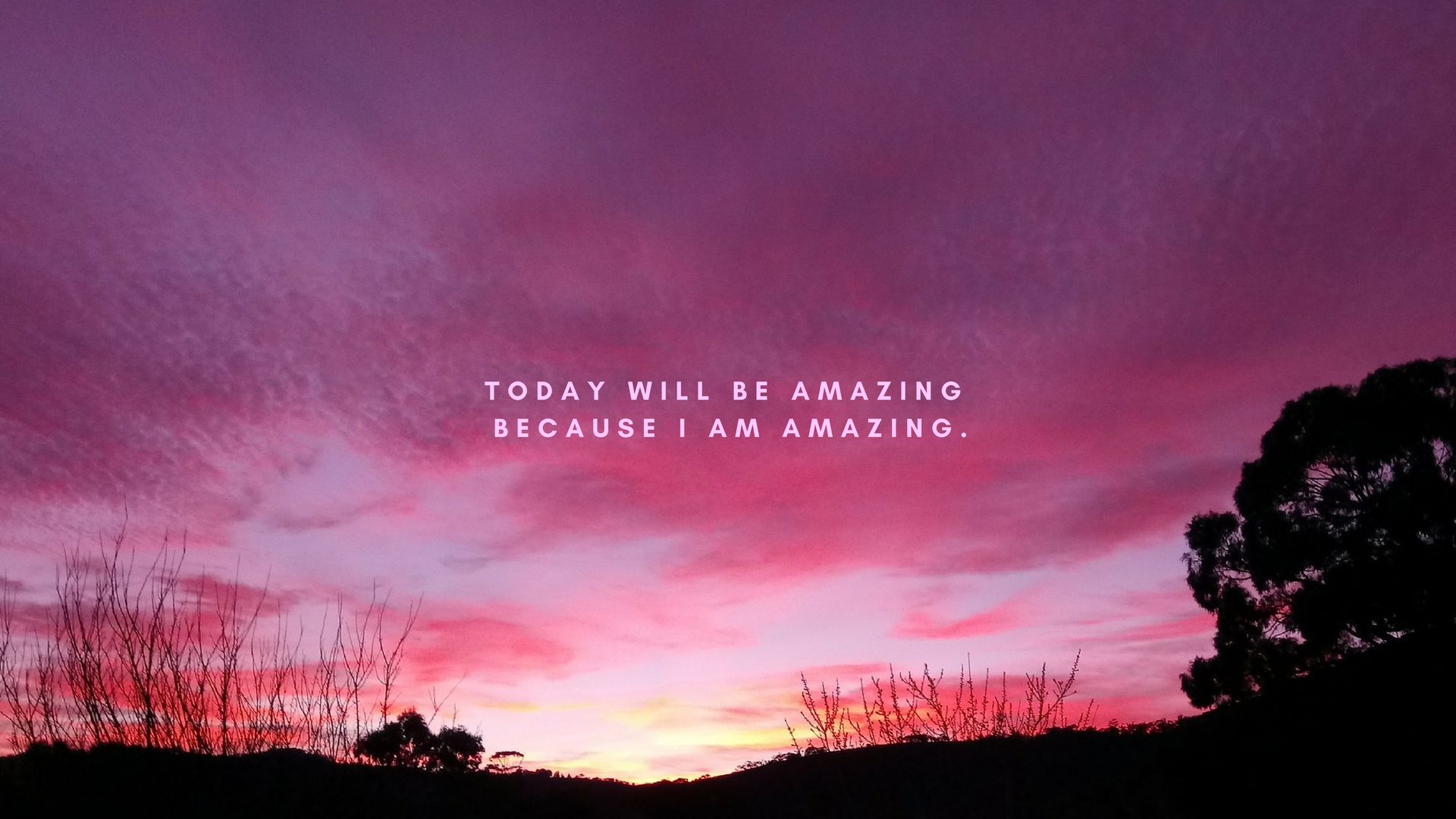 TODAY WILL BE AMAZING BECAUSE I AM AMAZING. – Bryn Donovan