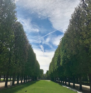 Luxembourg Gardens #Notre Dame Before The Fire