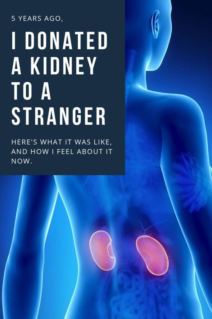 I Donated a Kidney 5 Years Ago. Here's what it was like, and how I feel about it now. #risks of kidney donation surgery #risks of being a kidney donor #requirements to be a kidney donor #qualifications for kidney donors #living kidney donor process