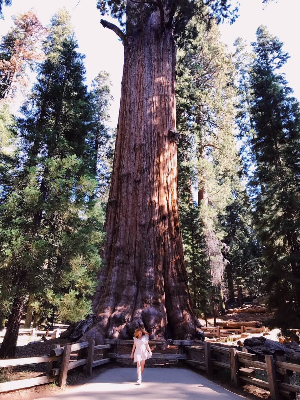 Sequoia National Park visit from Los Angeles bucket list life goals