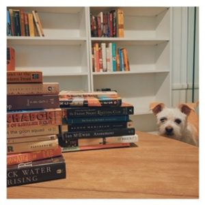 Moxie and bookshelves #awesome books to read #books set in foreign countries #global reading challenge #read around the world #world reading challenge