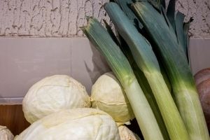 popular medieval vegetables: leeks and cabbages