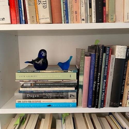 blue glass birds sitting on a stack of poetry books on a bookshelf