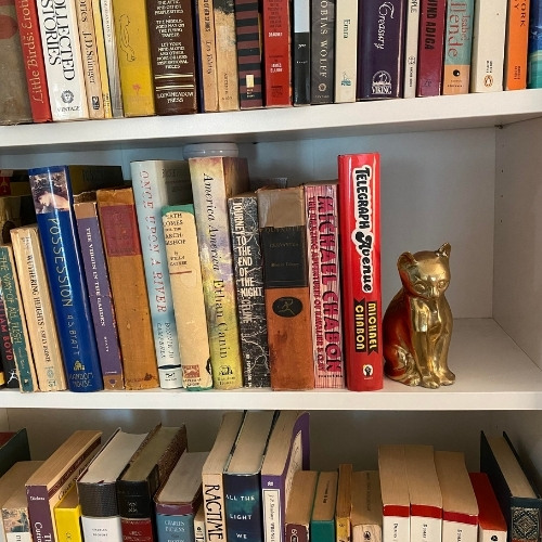 vintage brass cat on a bookshelf