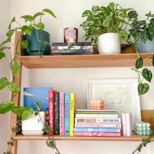 Cool Things to Put On Bookshelves (Along With Books)