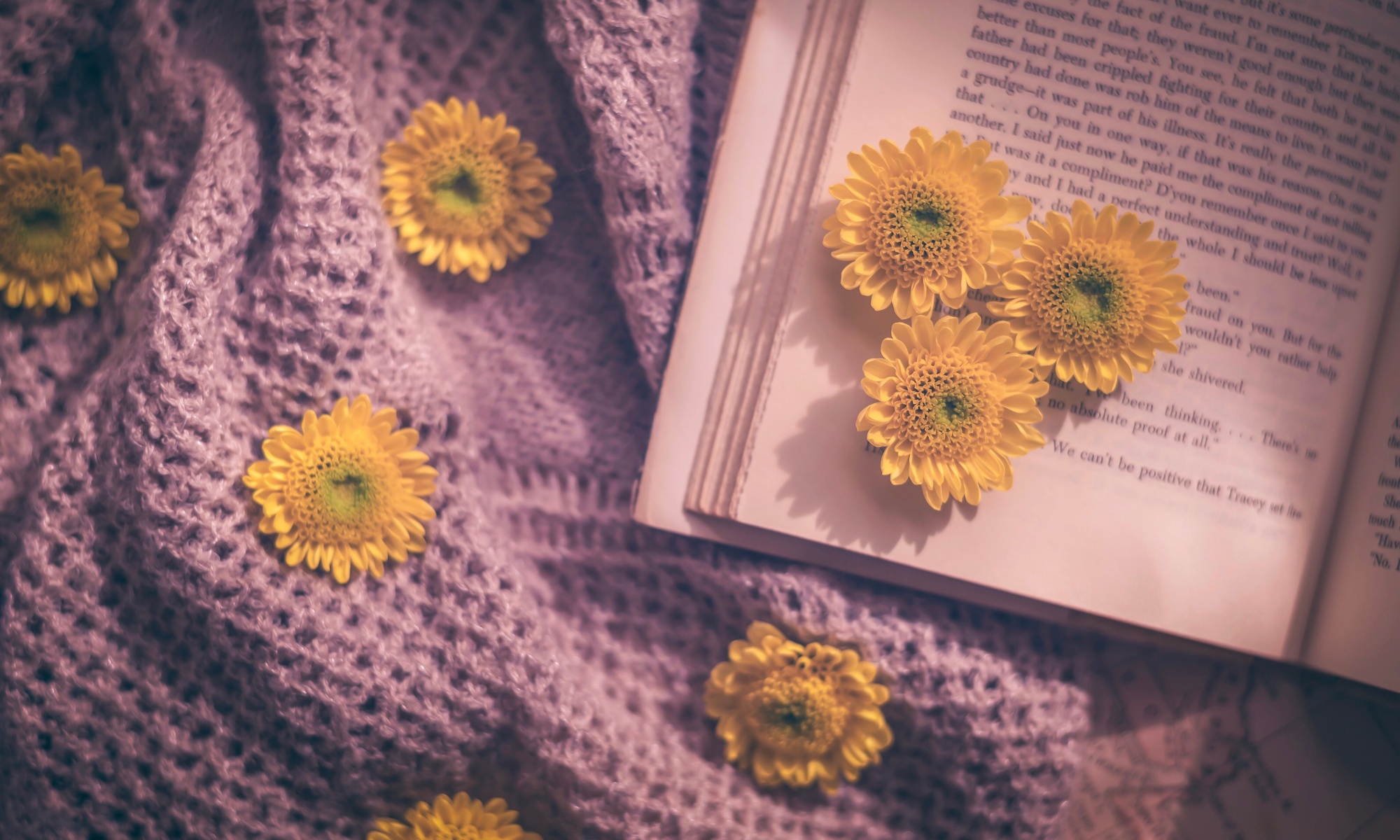 BRYN DONOVAN Author Writing Inspiration Blog Sunflowers