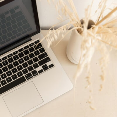 laptop computer and some dried flowers in a vase