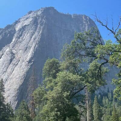 BRYN DONOVAN near El Capitán in Yosemite