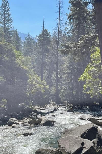 a creek in Yosemite National Park