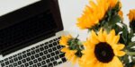 laptop and sunflowers