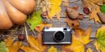 pumpkin, camera, autumn leaves