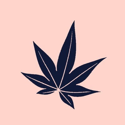 Japanese maple leaf - a Japanese symbol of peace