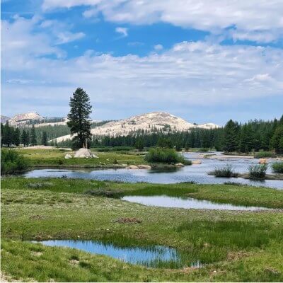 mountain, lakes, and pines in Yosemite