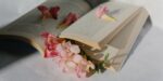 paperback, flowers - Best Romance Publishers Who Take Unagented Manuscripts