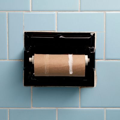 empty toiler paper roll - pet peeve examples