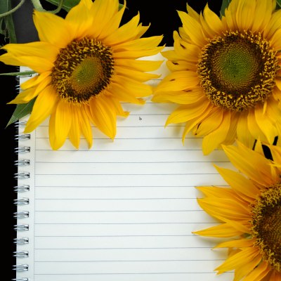 blank notebook page and sunflowers