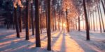 snow, bare trees, sunset - 25 creative winter writing prompts