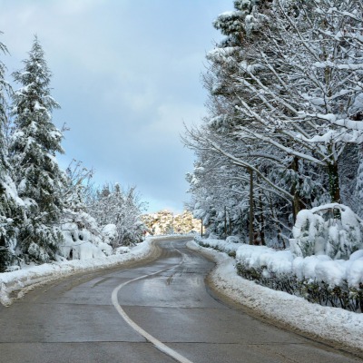 wet and winding road with snowy pines on either side in January - winter writing prompts